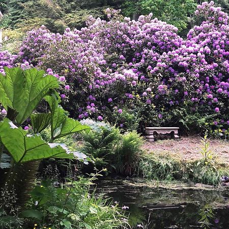 Rapunzel Trifft Dornroeschen Villa Rosenthal-Bielatal Bagian luar foto