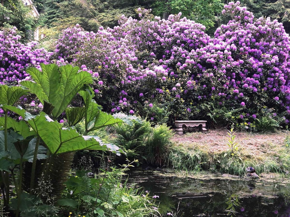 Rapunzel Trifft Dornroeschen Villa Rosenthal-Bielatal Bagian luar foto