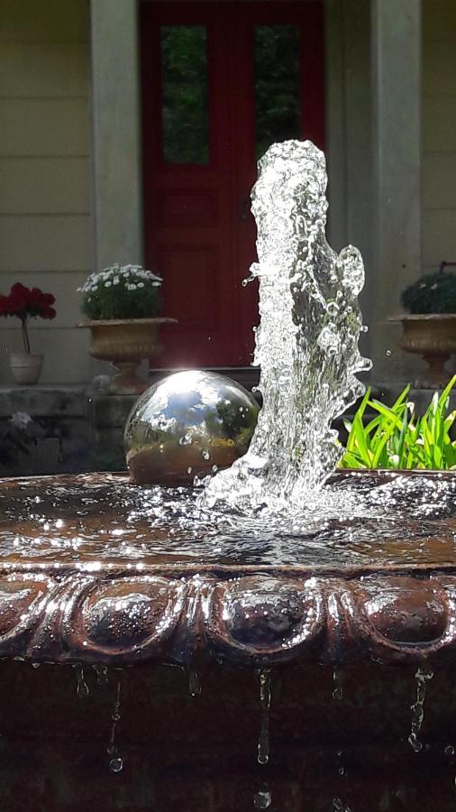 Rapunzel Trifft Dornroeschen Villa Rosenthal-Bielatal Bagian luar foto