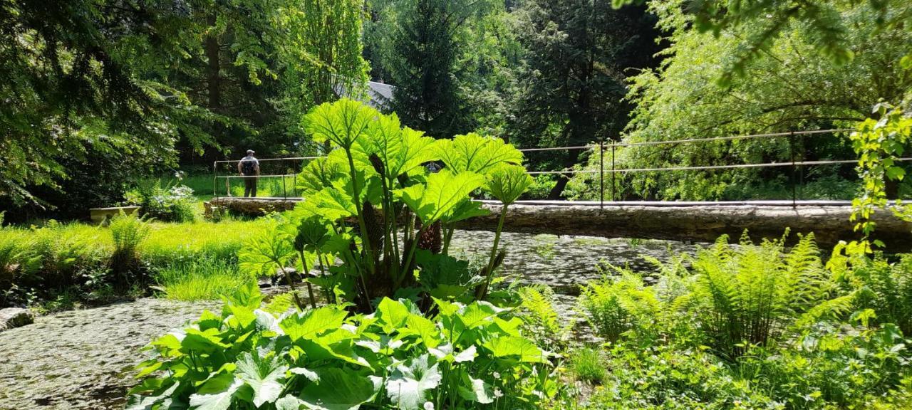 Rapunzel Trifft Dornroeschen Villa Rosenthal-Bielatal Bagian luar foto