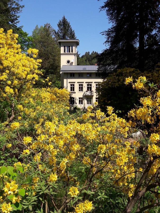 Rapunzel Trifft Dornroeschen Villa Rosenthal-Bielatal Bagian luar foto